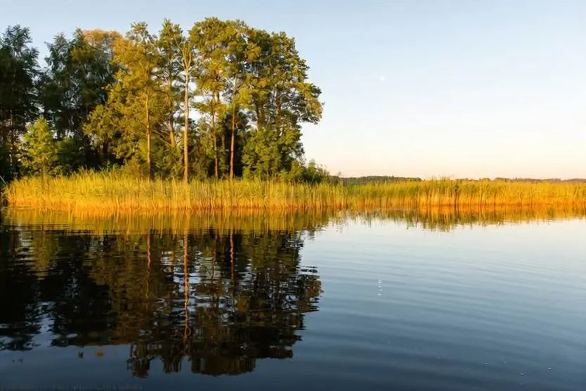 Ezermala pēc niedru pļaušanas — atklāts ūdens